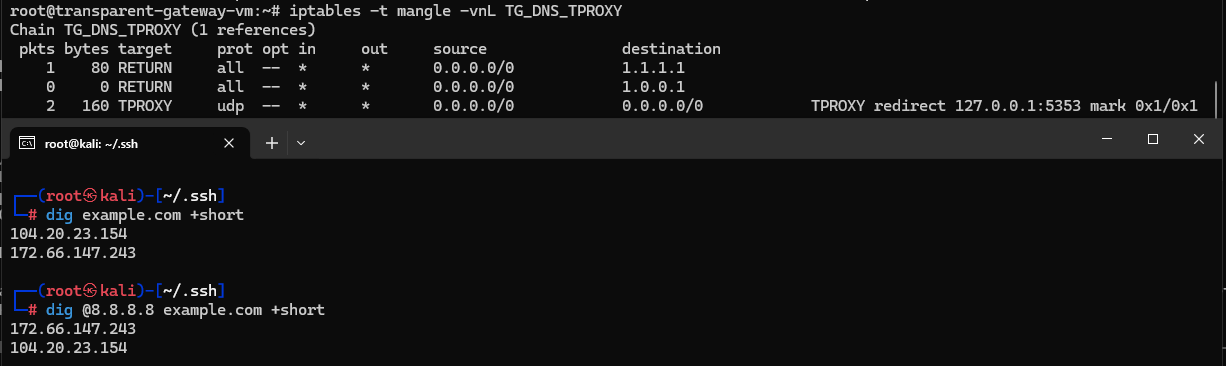 Правила TPROXY для DNS та успішні запити dig до стандартного і конкретного резолверів.