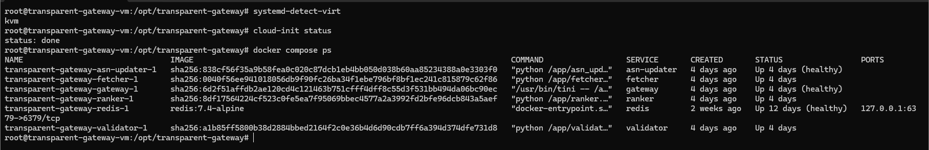 Термінал Transparent Gateway: KVM, завершений cloud-init і шість запущених Docker Compose сервісів