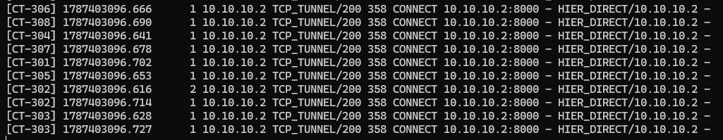 Логи десяти CONNECT-запитів, розподілених між LXC-контейнерами.