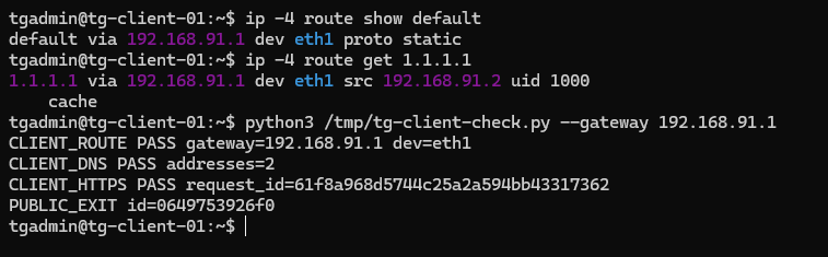 Клієнтський маршрут через 192.168.91.1 та успішні перевірки DNS і HTTPS із PUBLIC_EXIT id.