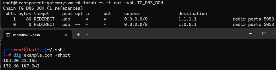 Правила iptables для перенаправлення DNS у локальний DoH relay і успішний запит dig.