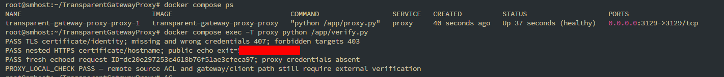 Docker-контейнер TLS proxy healthy; локальні перевірки TLS, автентифікації, заборонених цілей і public echo пройшли, зовнішню IP приховано.